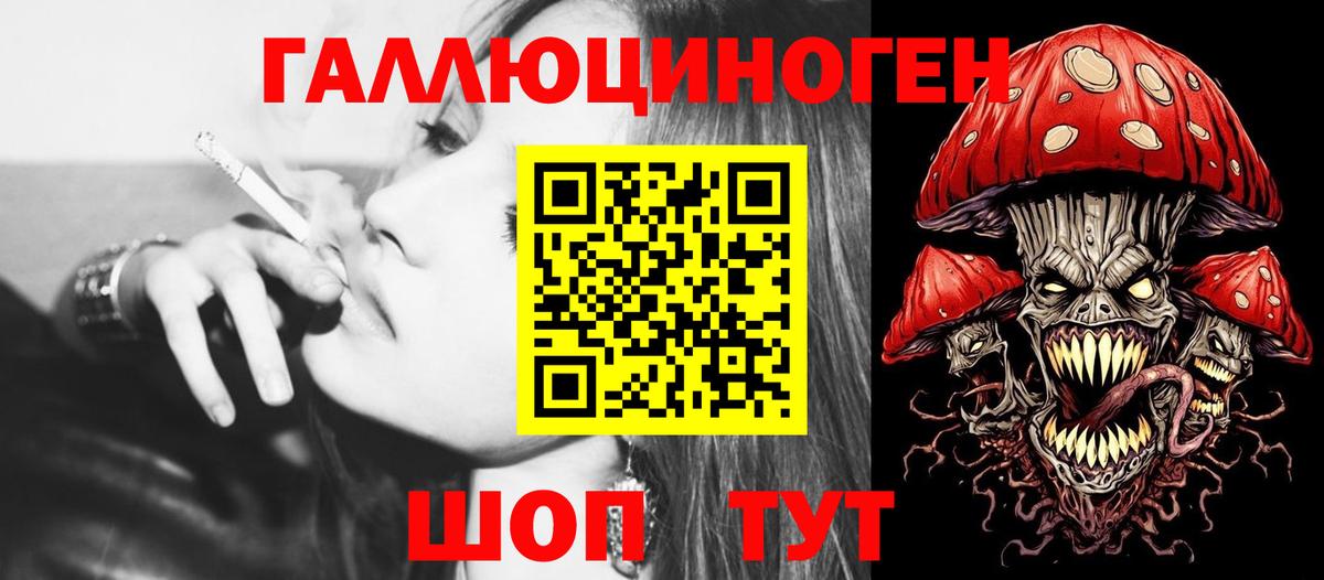 Псилоцибиновые грибы Psilocybe Азнакаево